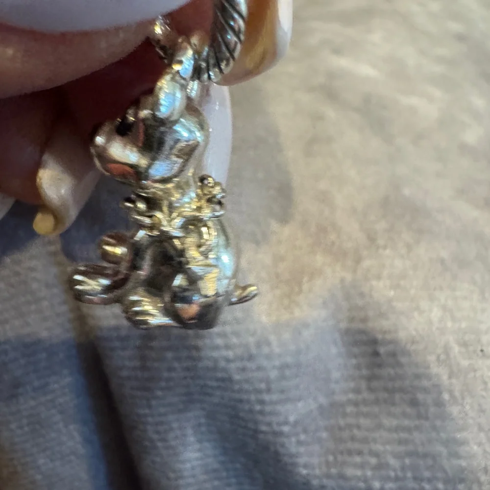 N/A charming silver